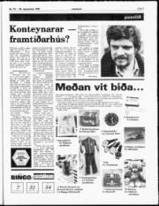 Síða 7
