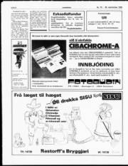 Síða 8