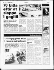 Síða 3