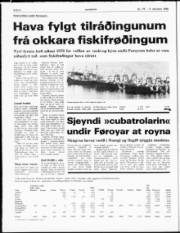 Síða 4