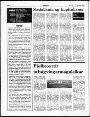 Síða 2
