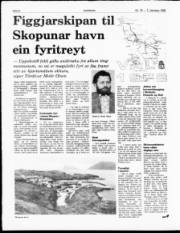 Síða 8