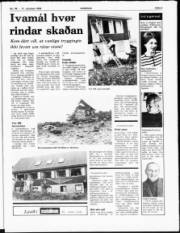 Síða 3