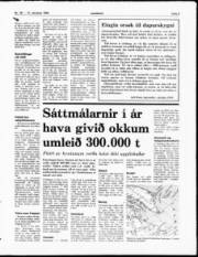 Síða 9