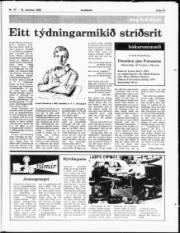 Síða 19