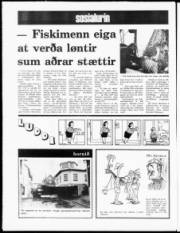 Síða 20