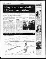 Síða 3