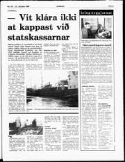 Síða 5