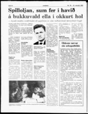 Síða 15