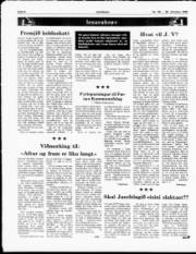 Síða 8