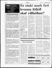 Síða 2