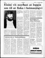 Síða 8