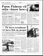 Síða 11