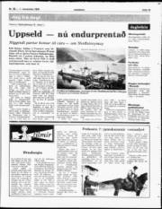 Síða 19
