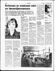 Síða 4