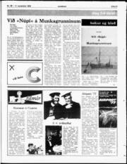 Síða 27