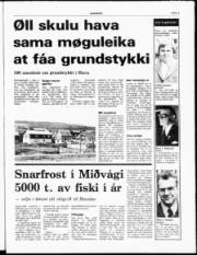 Síða 3