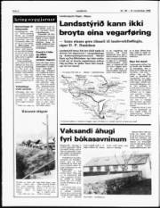 Síða 4