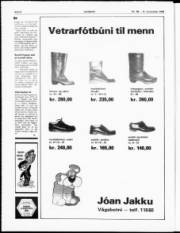 Síða 8