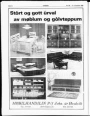 Síða 12