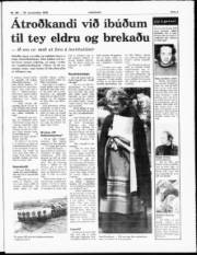 Síða 3
