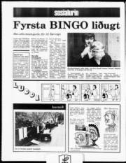 Síða 12