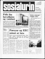 Síða 1