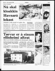 Síða 3