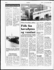 Síða 4