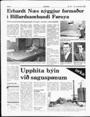 Síða 8