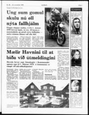Síða 3