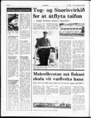 Síða 4