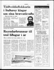 Síða 5