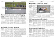 Síða 8