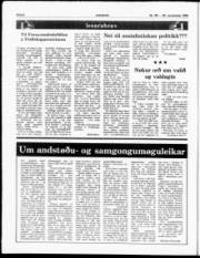 Síða 6