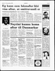 Síða 3