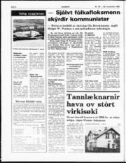 Síða 4