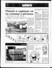 Síða 12