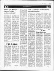 Síða 6