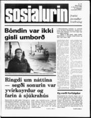 Síða 1