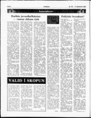 Síða 6