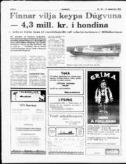 Síða 8