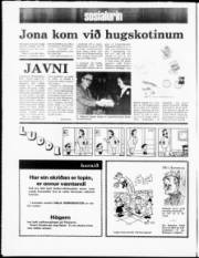 Síða 16