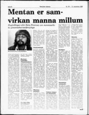 Síða 19