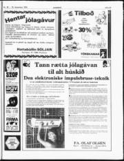 Síða 21