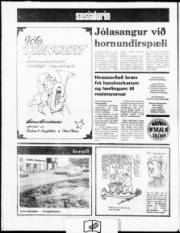 Síða 28