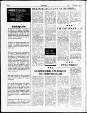 Síða 6
