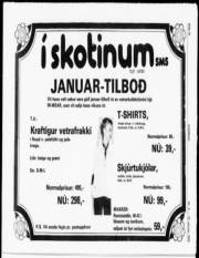 Síða 10