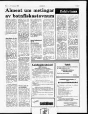 Síða 7