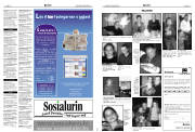 Síða 13